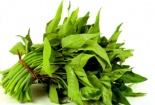 Bài thuốc hay từ rau muống 